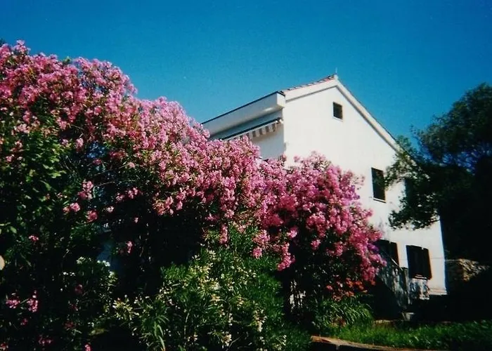 In With Seaview, Terrace, Air Condition, Wifi